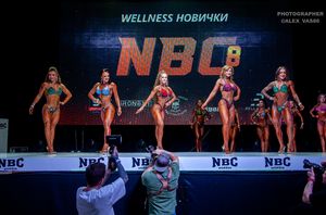 WELLNESS НОВИЧКИ